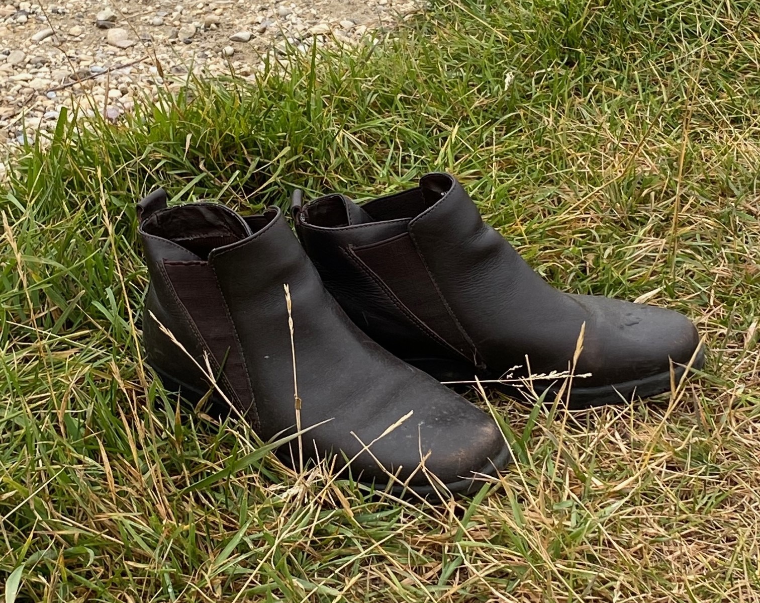 Pair of black casual shoes in the grass by a path.